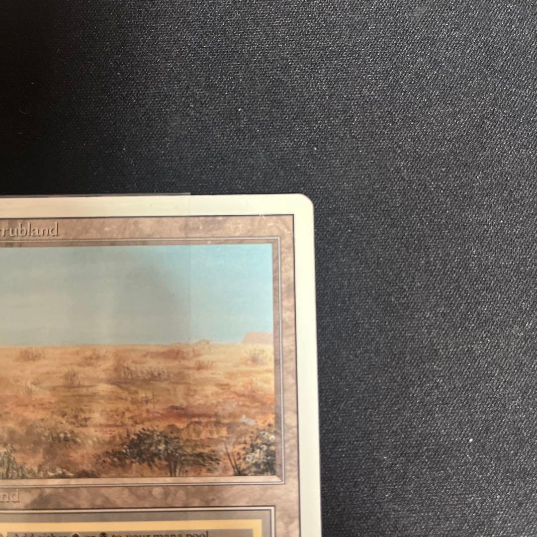 Scrubland GD リバイズド　Revised 3ED 画像確認必須