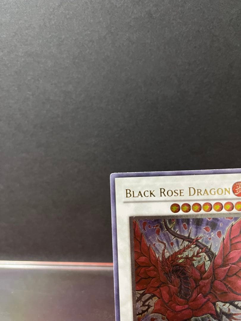 遊戯王　ブラックローズドラゴン　レリーフ　英語版