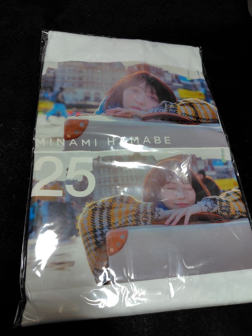 浜辺美波 写真集 25 豪華版 限定特典　Tシャツ+ステッカー