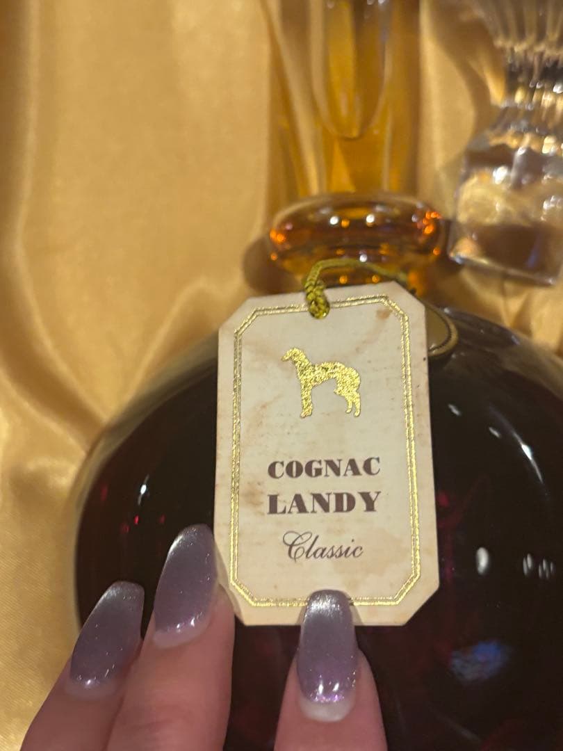 LANDY ランディ エクストラ セントルイス号