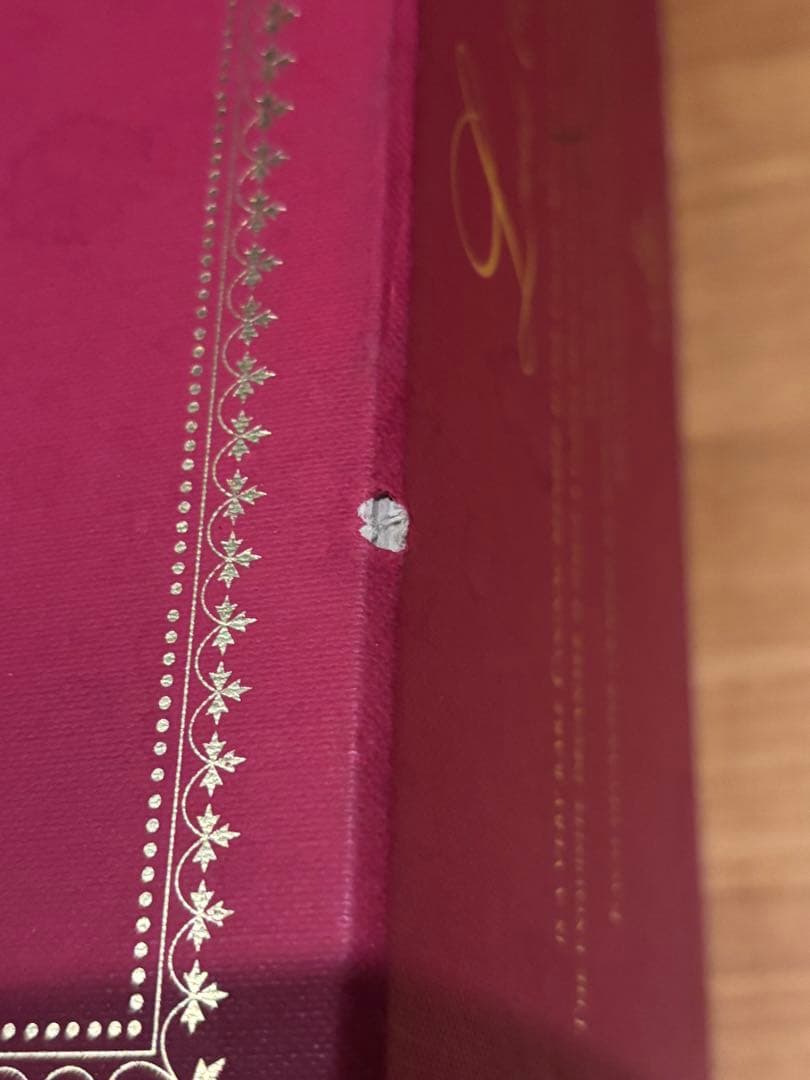 LANDY ランディ エクストラ セントルイス号