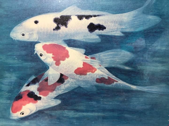 春杏　絵画　鯉3匹 インテリア