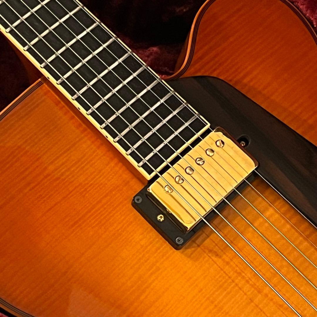 Sadowsky『Jim Hall Model』 フルアコ ジムホール