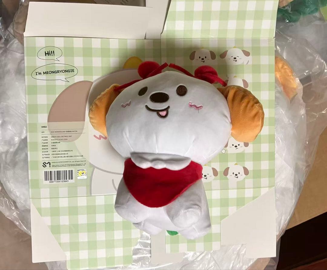 RIIZE アントン ANTON 中国限定