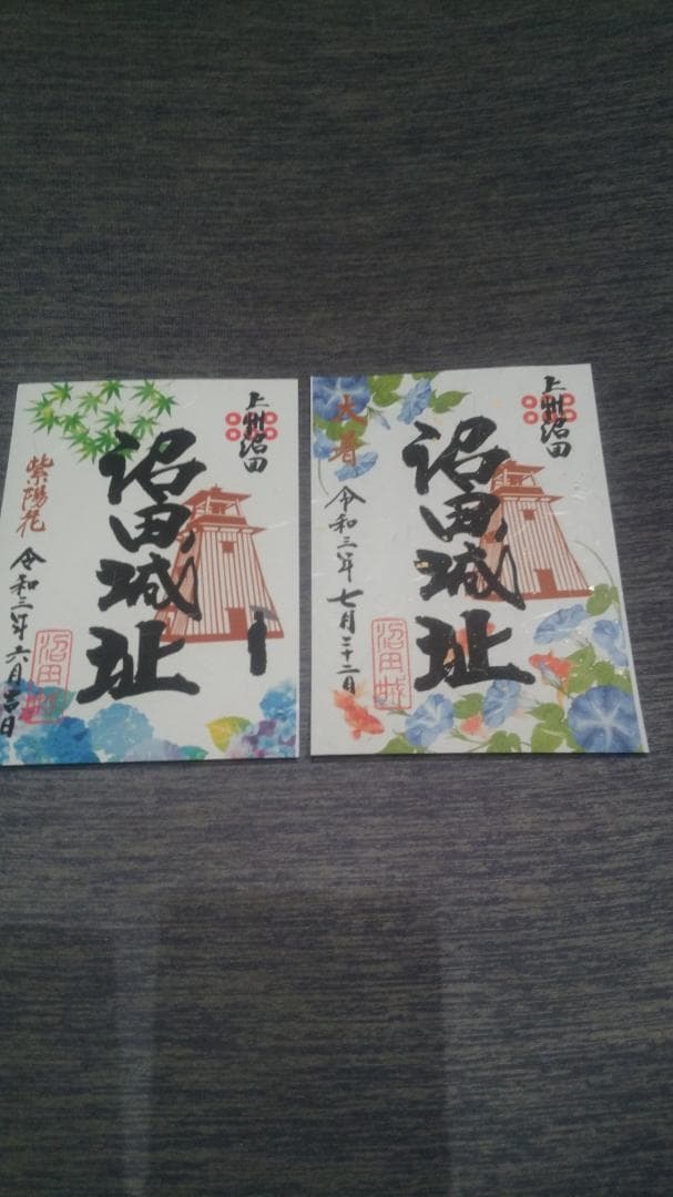 令和三年、沼田城限定御城印、タイプＢ、1月から12月まで、コロナ御城印、全13枚
