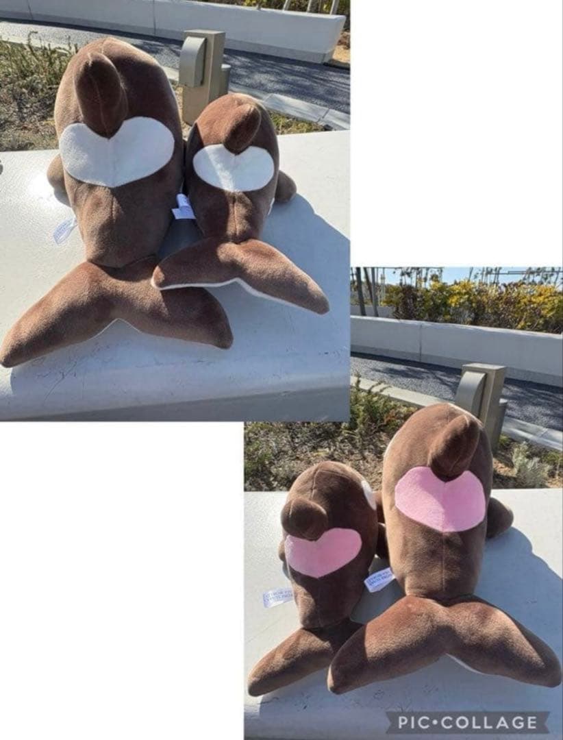 新登場！神戸須磨シーワールド　シャチ　オルカくじ　限定　3等4等セット