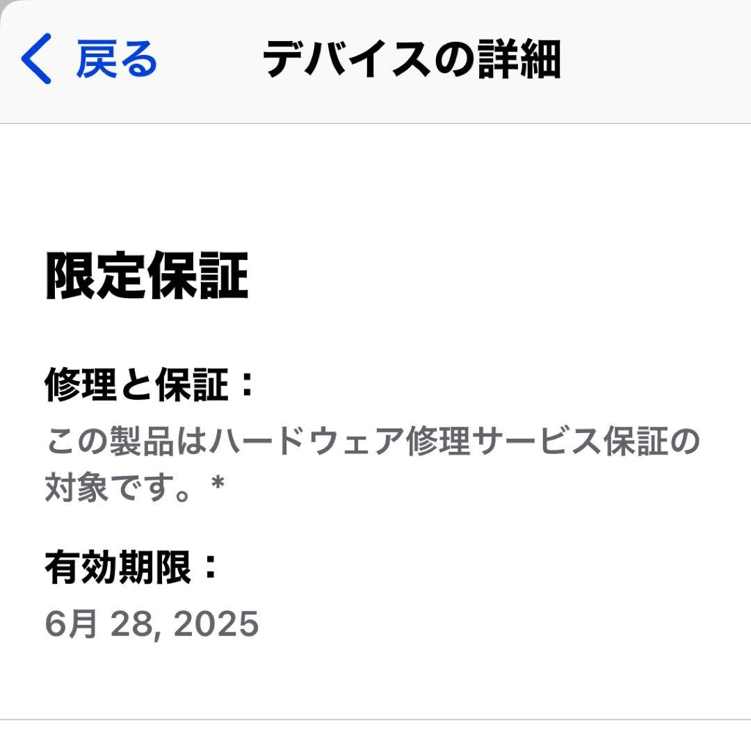 MacBook本体 Apple M2 Pro Mac mini 512GB SSD 16GB