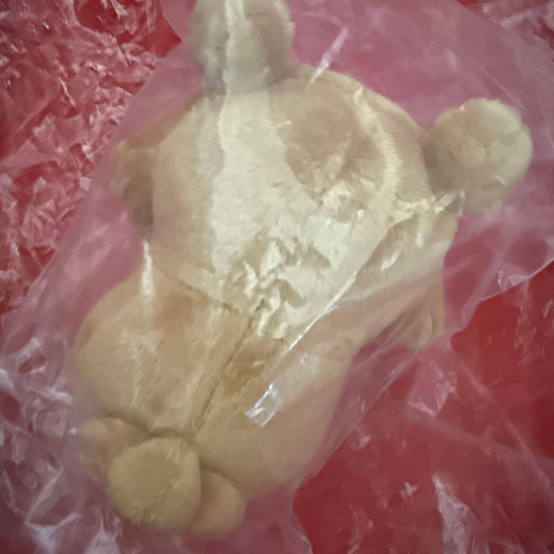 貴重 ビッパ ポケモンセンター　ポケモンドール 美品 タグ無し 布タグあり