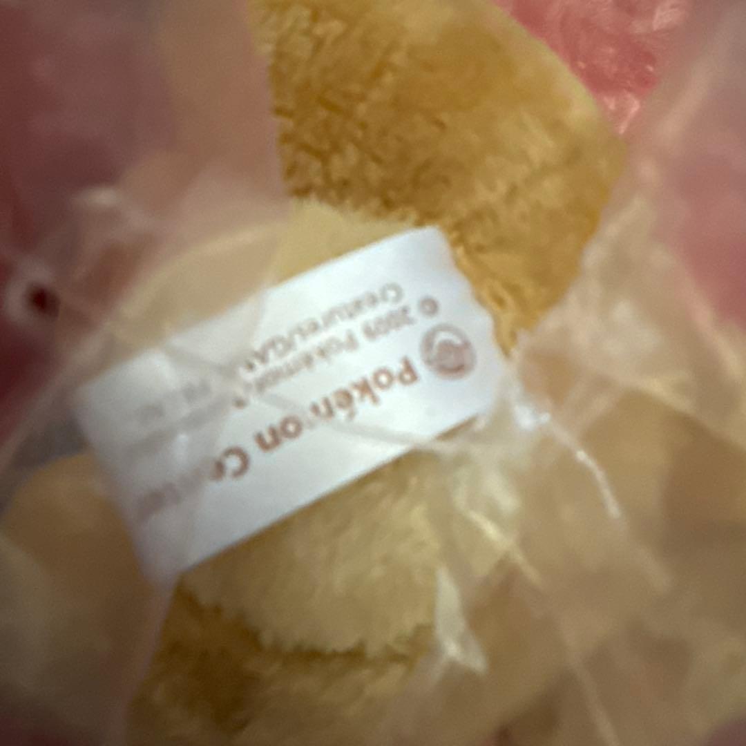 貴重 ビッパ ポケモンセンター　ポケモンドール 美品 タグ無し 布タグあり