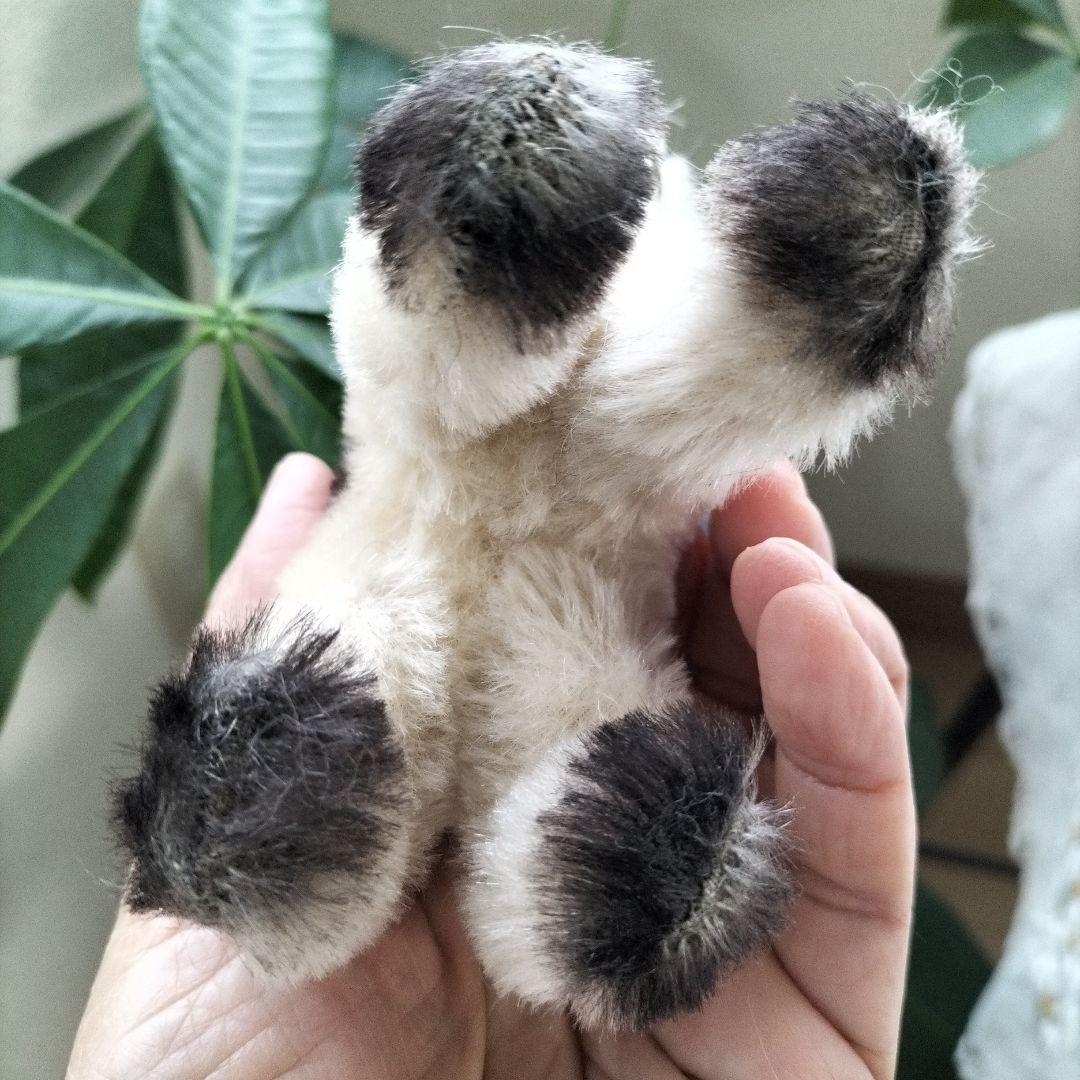 ビンテージ　シュタイフ　GUSSY　キャット　猫　②