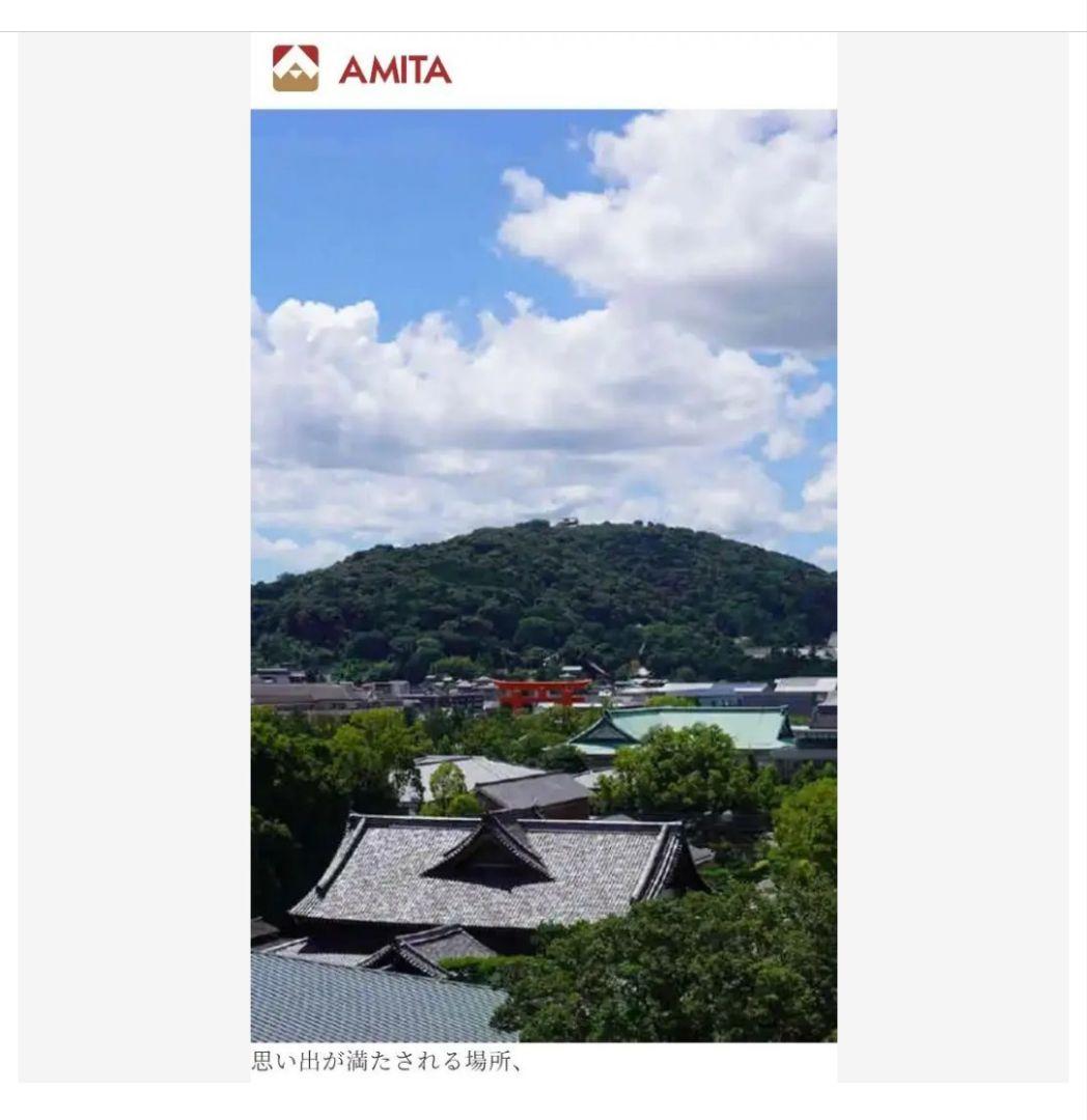 一級品 京都 伝統工芸 象嵌 ブローチ ☘純金はめ込み装飾☘