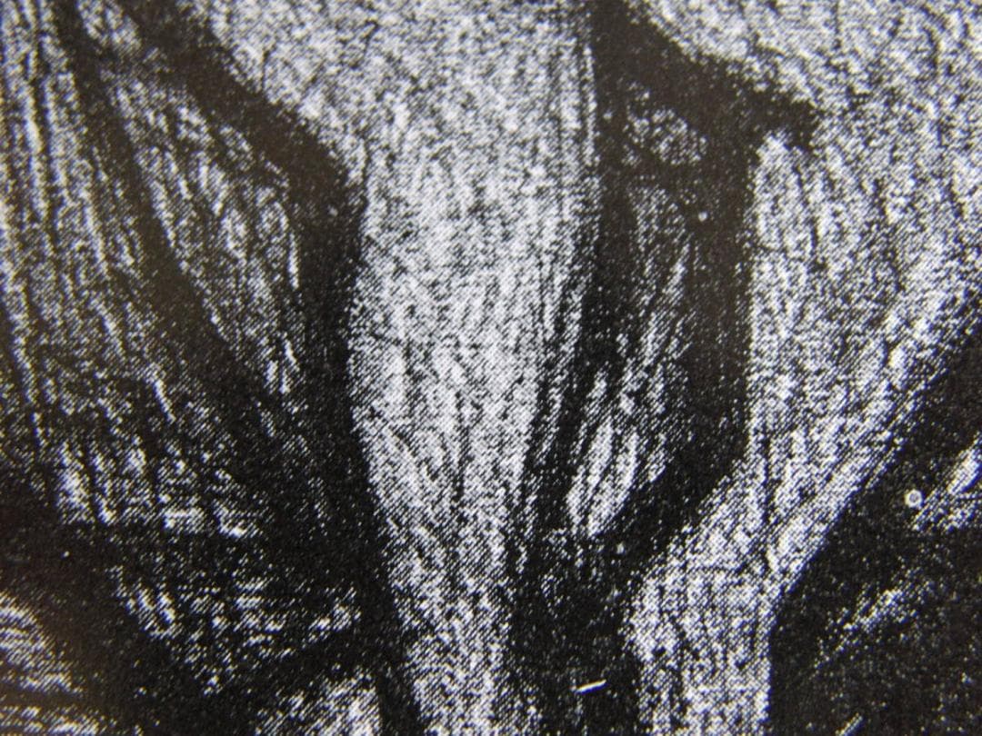 林武、「裸婦」、希少な画集の額装画、オーダーマット付・日本製新品額入り