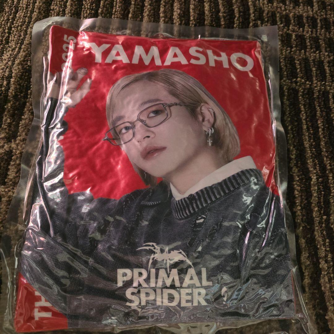 山本彰吾　クッション