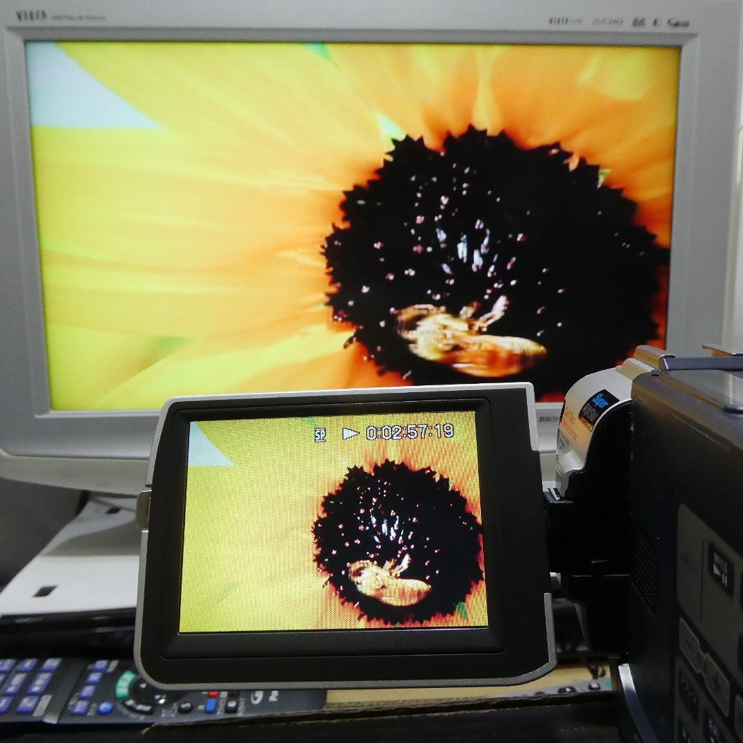 動作品ソニー DCR-TRV17 Mini DVビデオカメラDVDダビングに最適