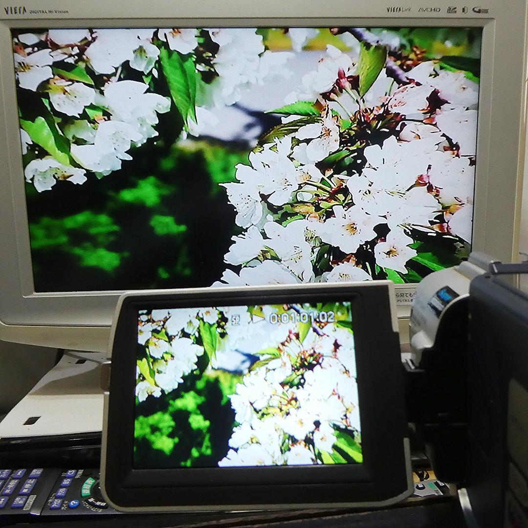 動作品ソニー DCR-TRV17 Mini DVビデオカメラDVDダビングに最適