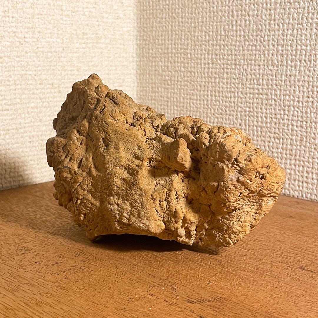 恐竜の糞（コプラライト）900g