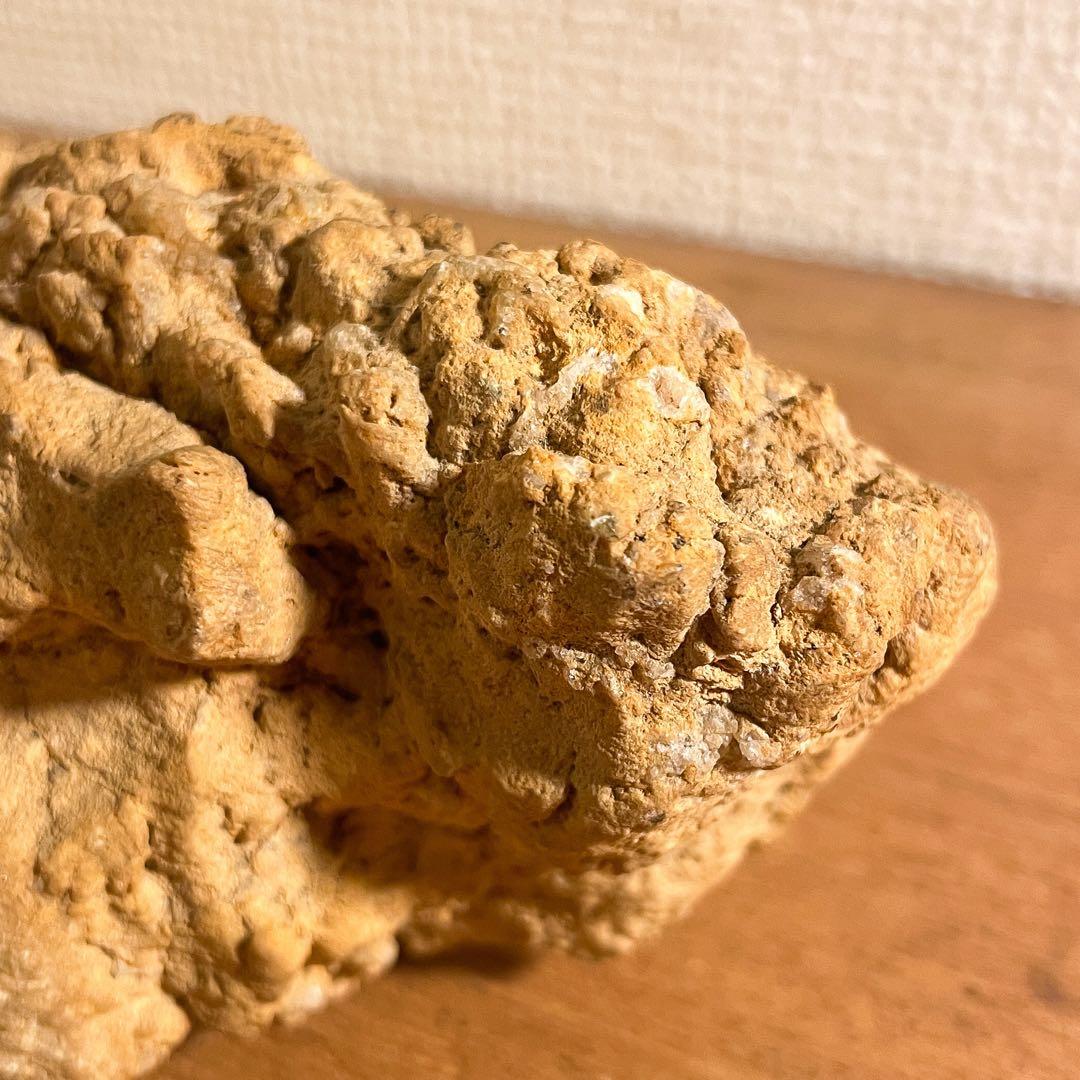 恐竜の糞（コプラライト）900g