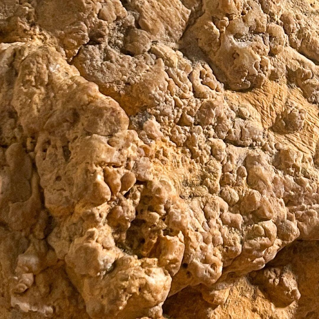 恐竜の糞（コプラライト）900g