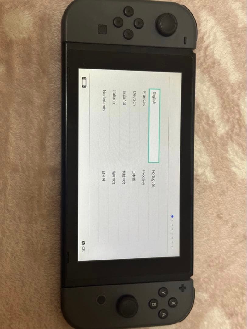 Nintendo Switch グレー 本体 (早く売りたい)