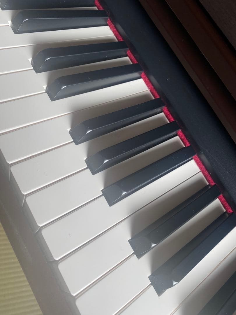 Roland デジタルピアノ 88鍵盤 ダークブラウン　08年製