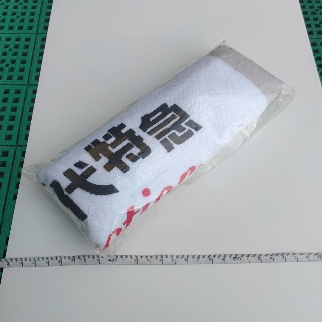 【北海道歴代特急】ヘッドマークタオル