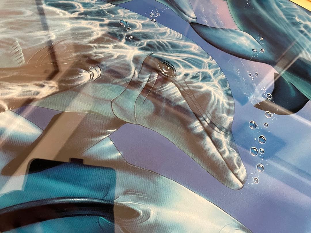 クリスチャンラッセン Dolphin Quest Ⅱ