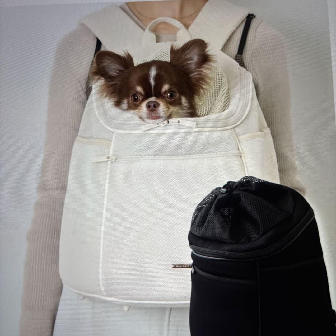 軽量メッシュキャリーリュック⭐︎専用です⭐︎