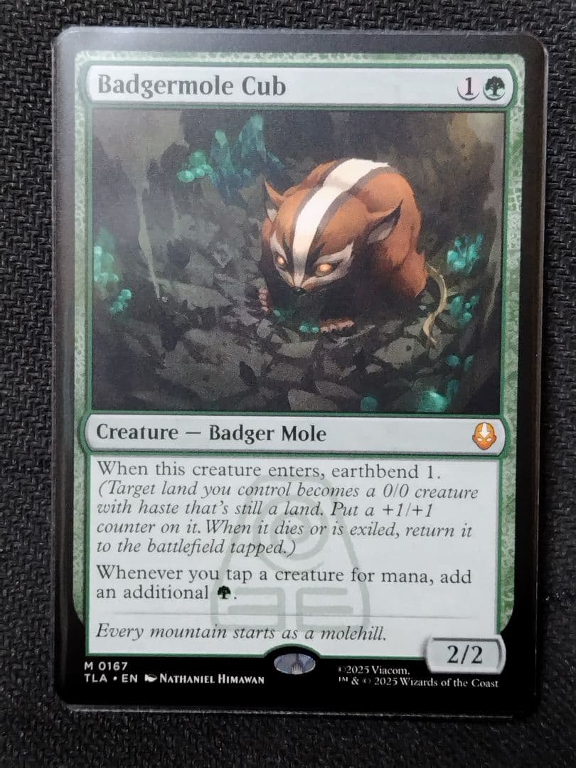 【MTG】「アナグマモグラの仔/Badgermole Cub」英語版1枚