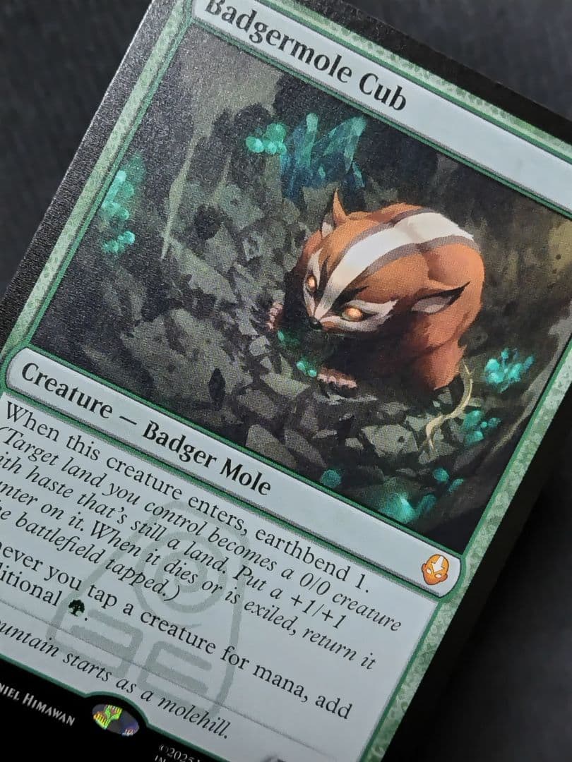 【MTG】「アナグマモグラの仔/Badgermole Cub」英語版1枚