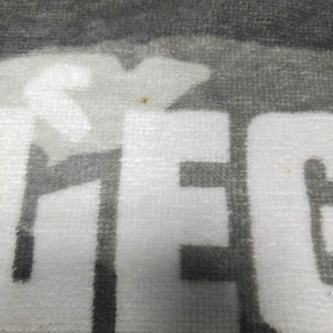 ELLEGARDENエルレガーデン2005-2006年タオル日本製今治タオル新品