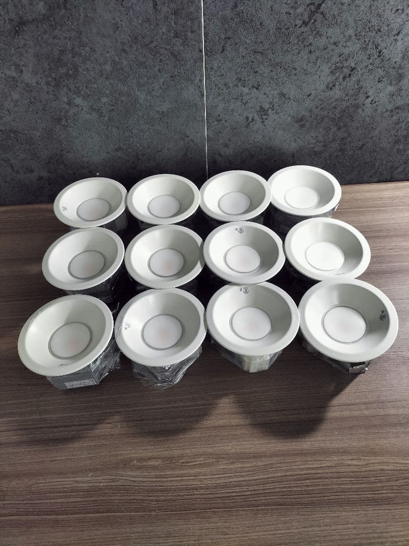 ◆ダイコー◆LED照明器具◆12個◆23年製◆Z-2506DL12◆