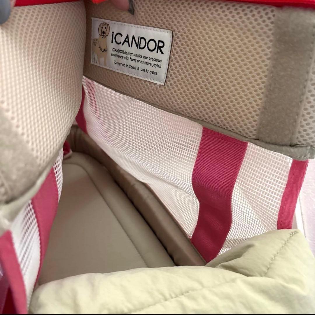 アイキャンダーキャリーバック