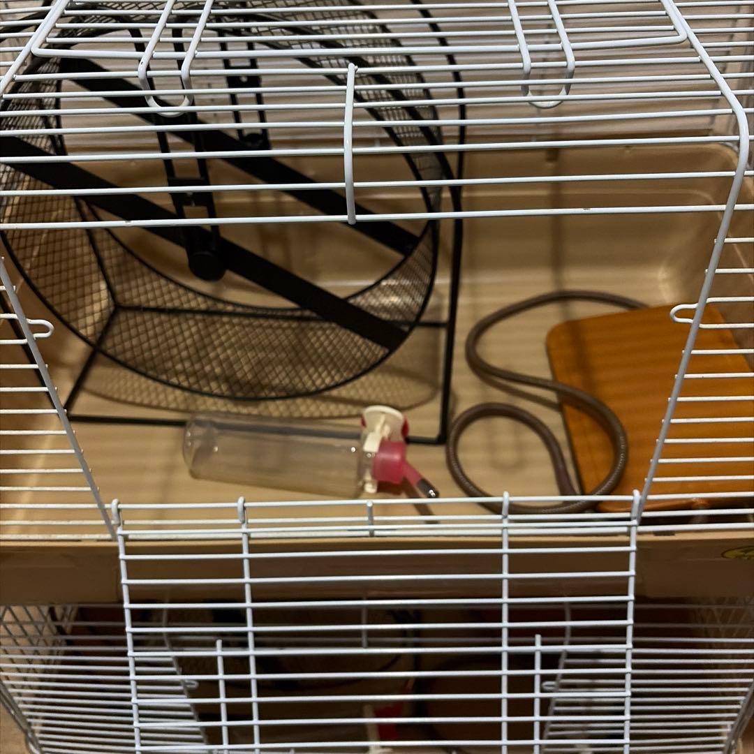 小動物用飼育ケージ回転式ホイール付き　2個セット【緊急値下げ】