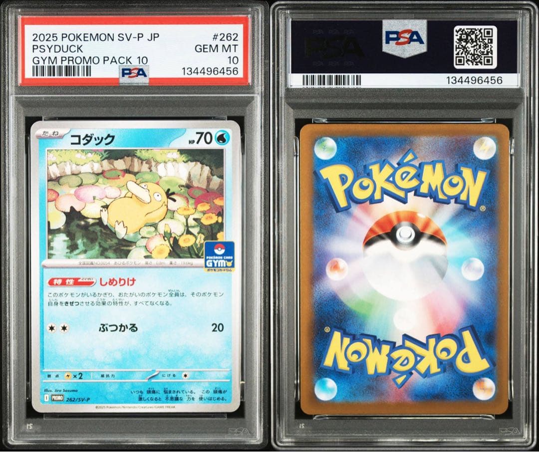 2025 ポケモン コダック GYM PROMO PSA10、6二枚セット鑑定品
