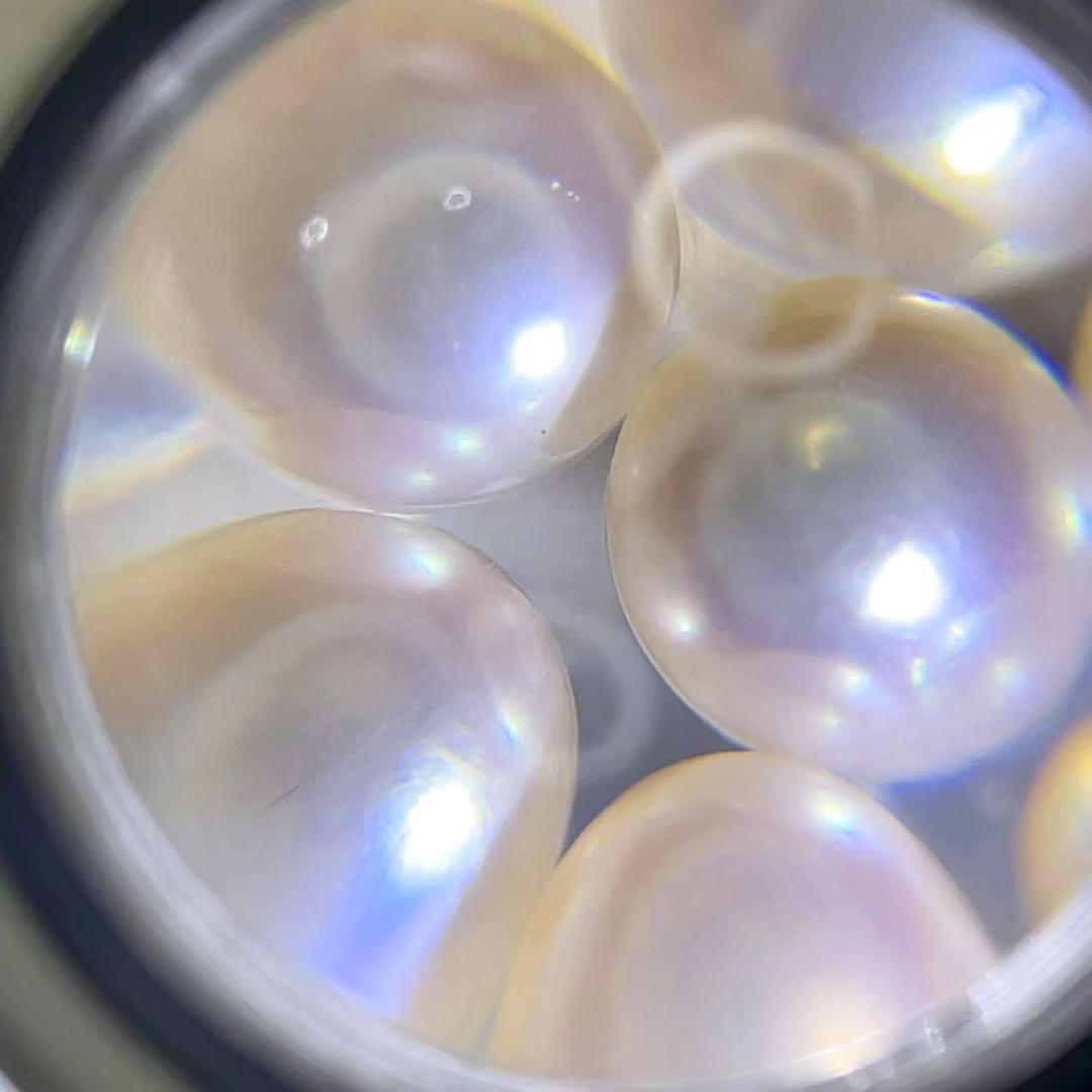 本真珠 あこや真珠 7珠 パール SILVER刻印 ブローチ 和装小物