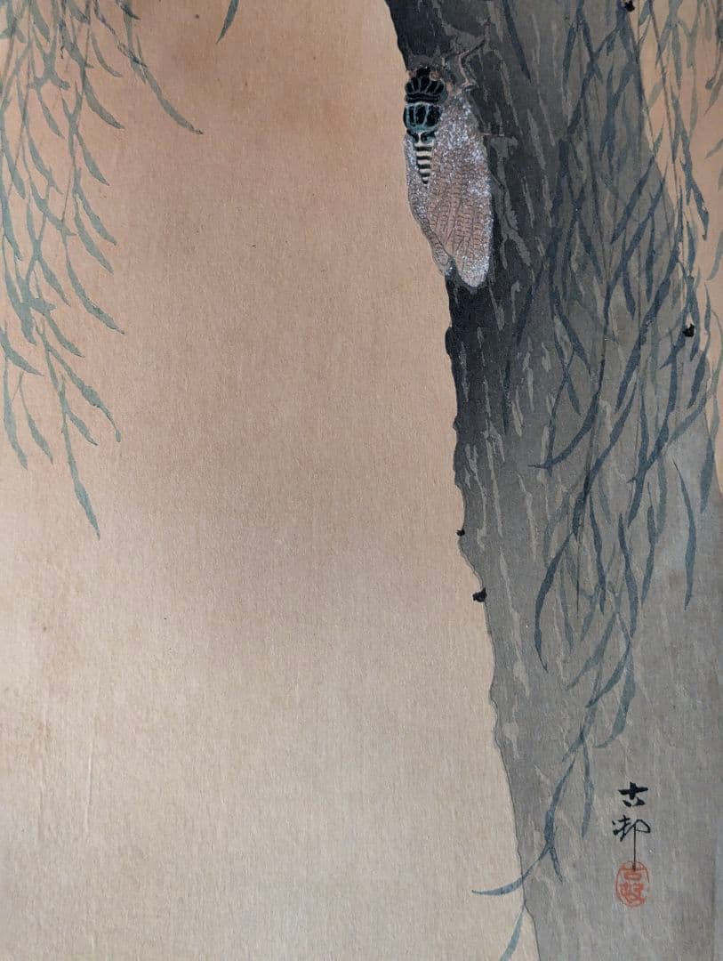 小原古邨「柳に油蟬」本物木版画