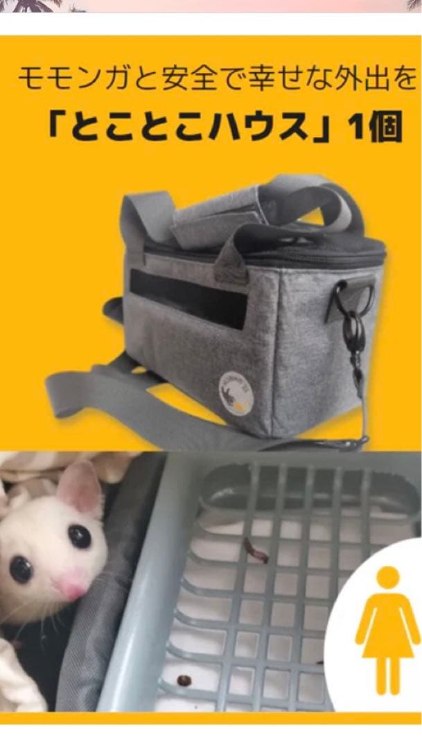 フクロモモンガ飼育用　一式セット（のびも15