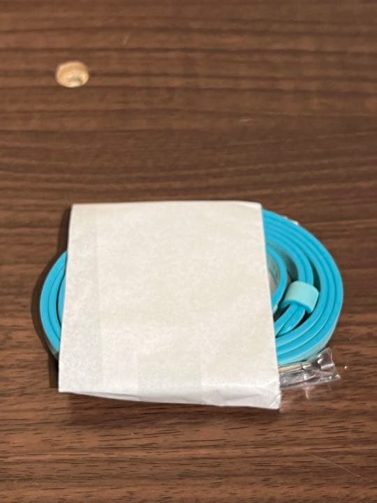 新品未使用　ティファニーキャットストリートトート　Tiffany 完売品