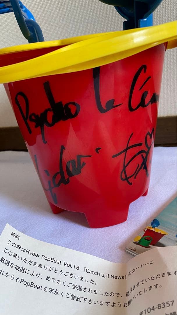 当選品】Lida AYA サイン入り　撮影使用　サイコルシェイム