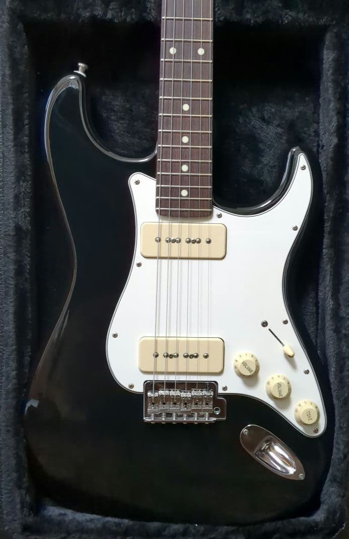 しらすFUJIGEN NST12RAL-BK P-90