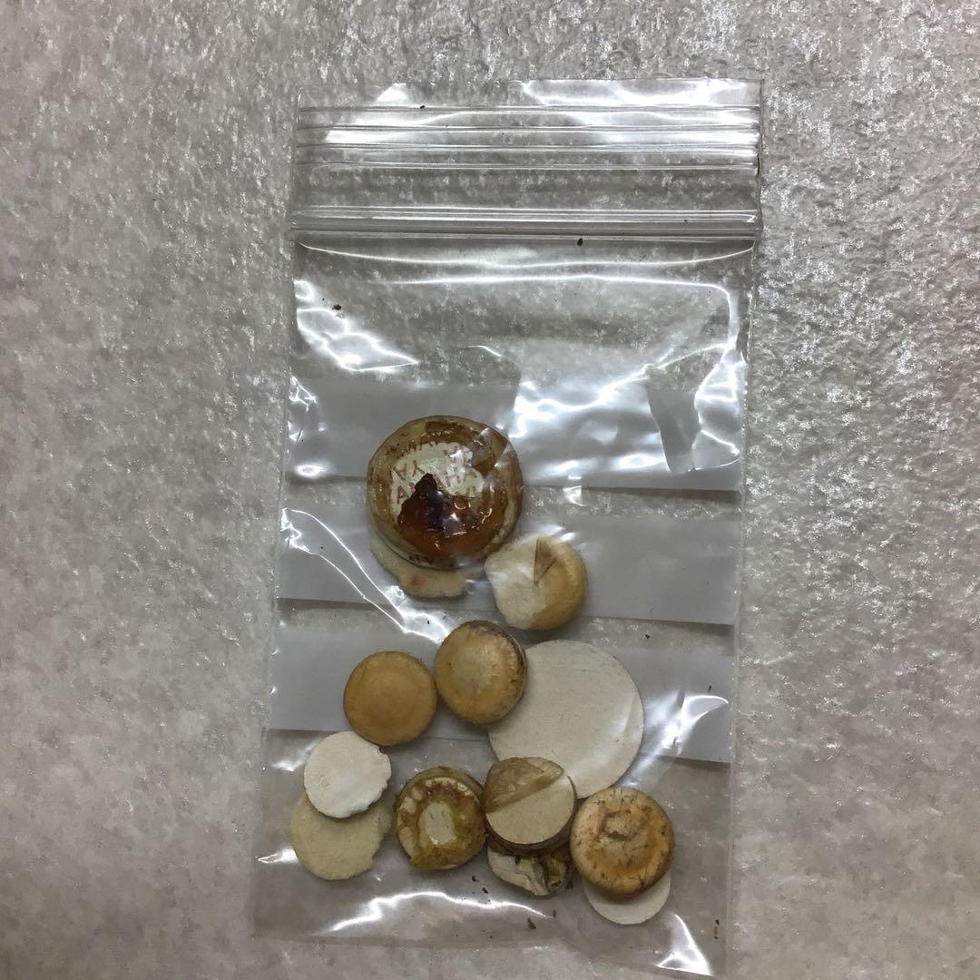 (43) YAMAHA ヤマハ　B♭クラリネット YCL-35 程度良好