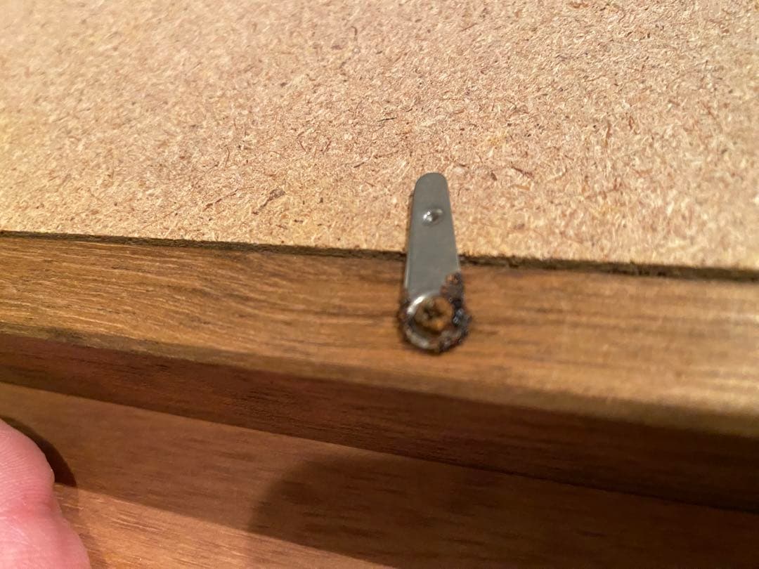 早瀬　遼　油彩　白樺林　絵画