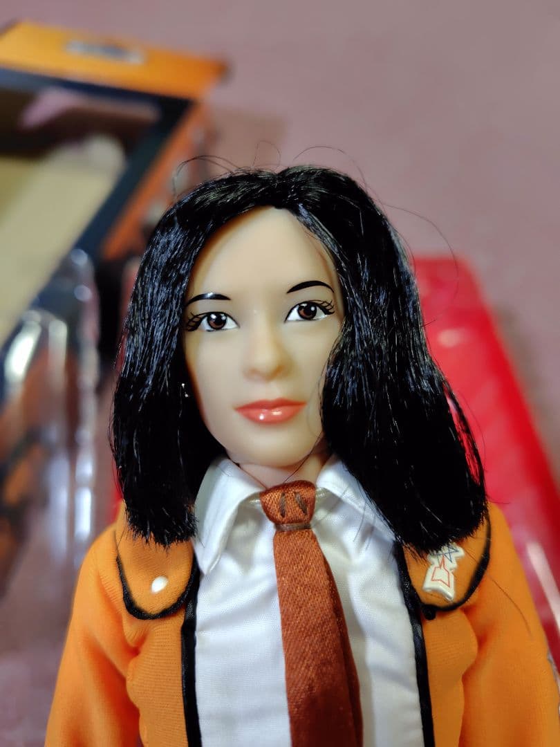 科学特捜隊 クールガール フジアキコ隊員