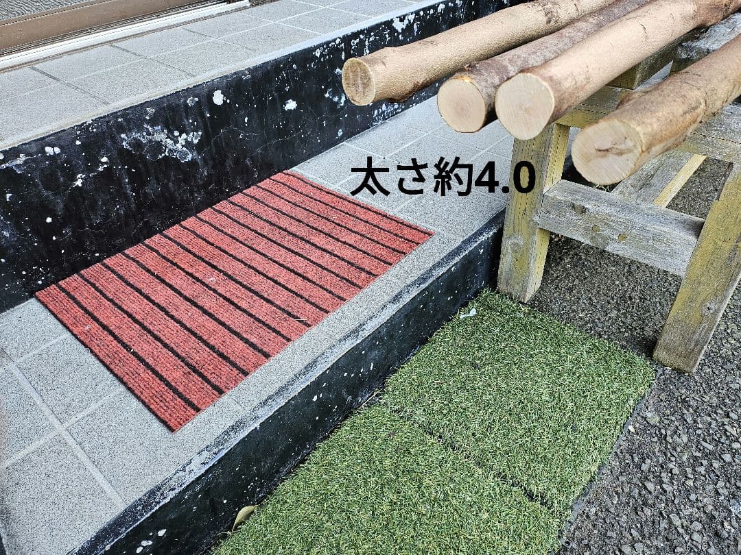 止まり木(大型オウム&インコ用)