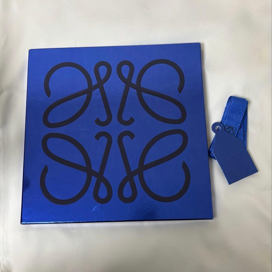 LOEWE バイカラー スカーフ (ウール&カシミヤ)