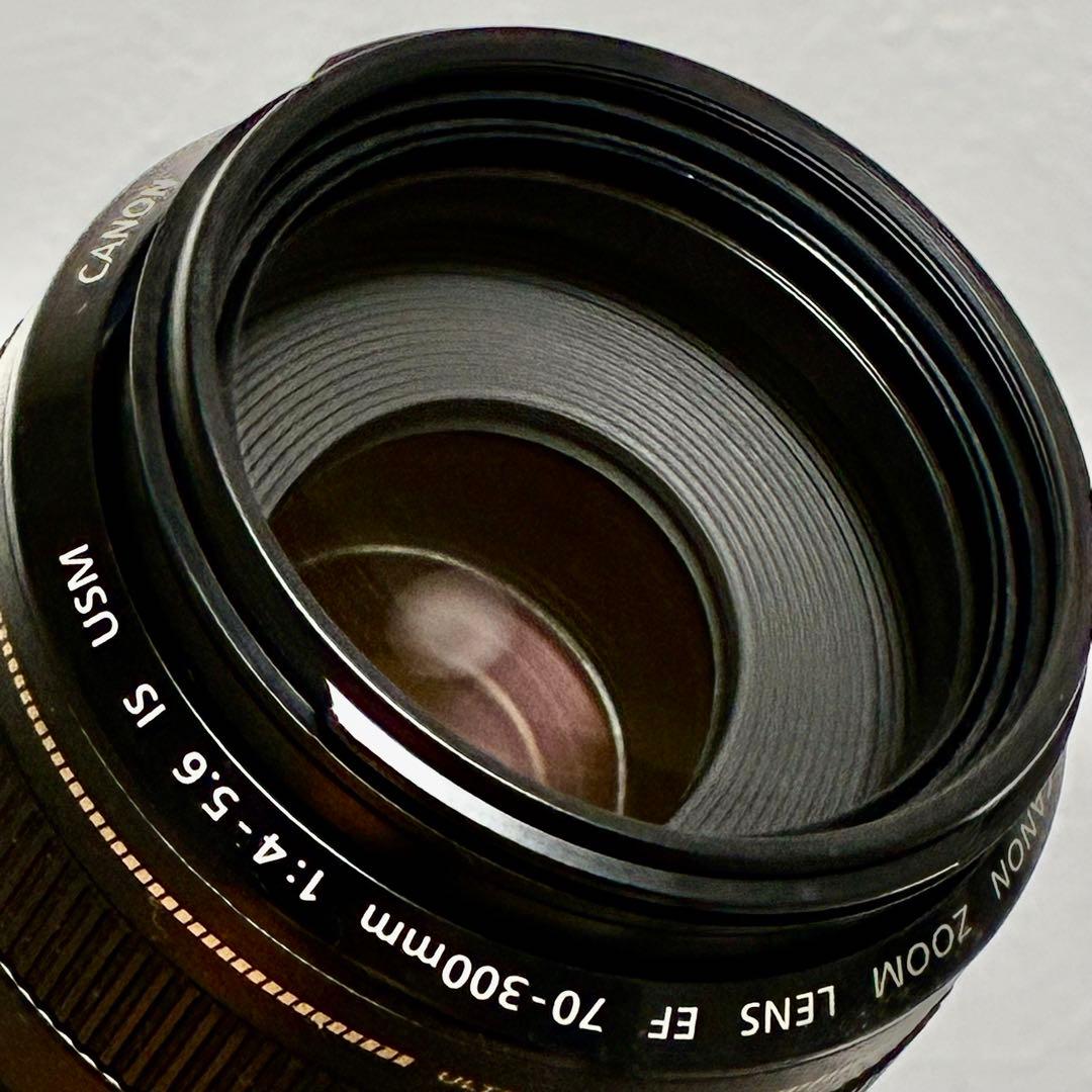 ⭐️美品⭐️Canon EF 70-300mm & EF EOS M アダプター