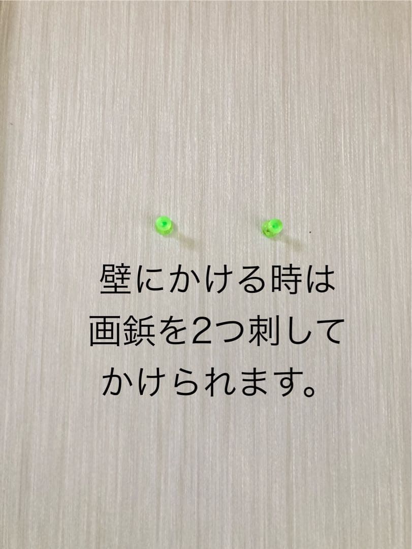 感情の花(オウム) 新人画家　大塚麻世 オウム　鳥　油彩　油絵　絵画　動物