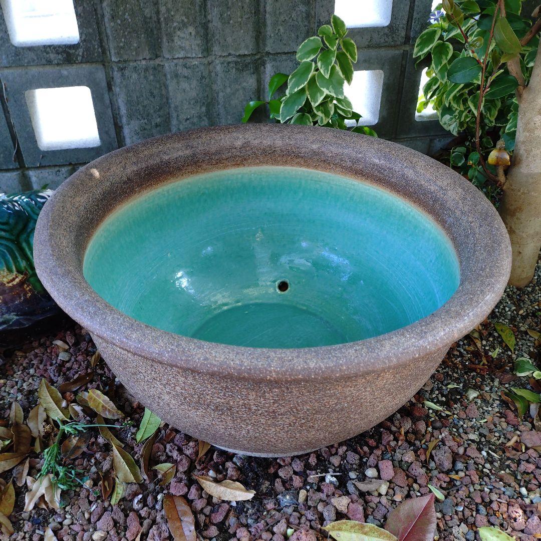 信楽焼　メダカ鉢　睡蓮鉢　水鉢　直径約50cm