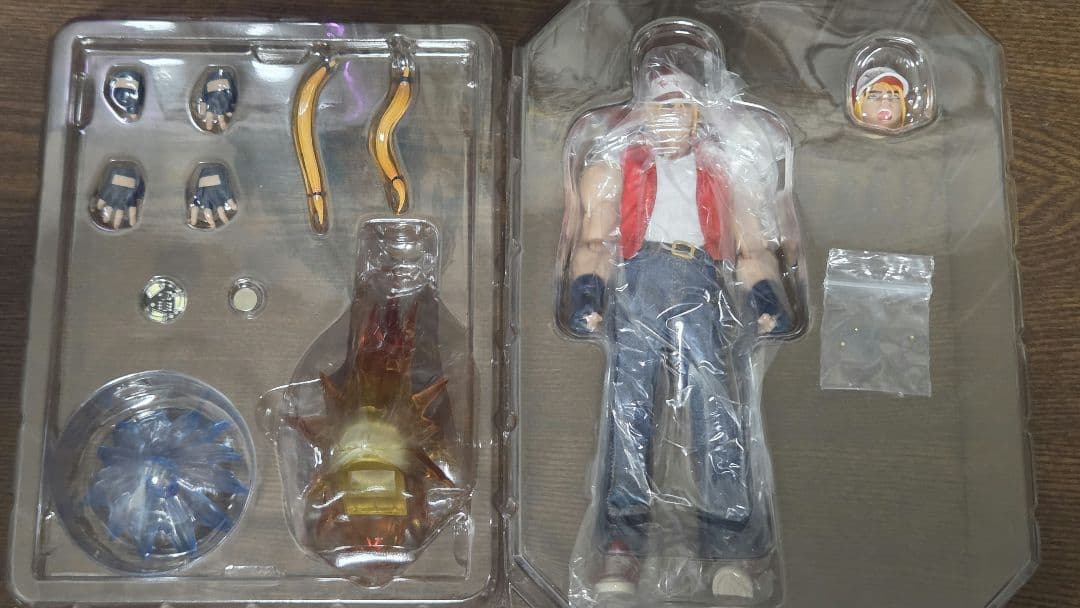 TUNSHI STUDIO　テリーボガード 1/12