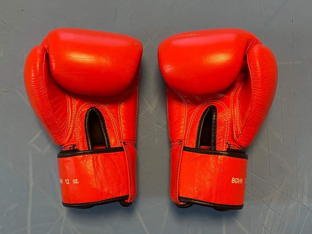 【海】WINDY 12oz ボクシンググローブ